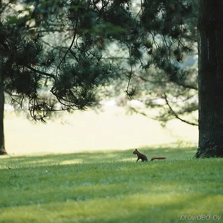 Ibis Отель Виши